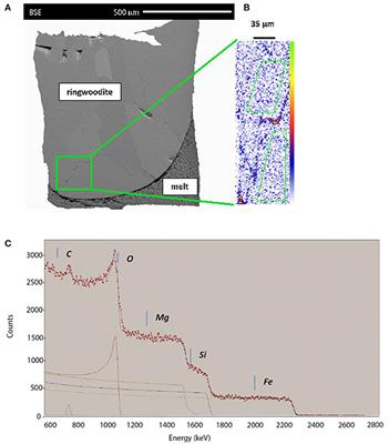 Examination of Water Quantification and Incorporation in Transition Zone Minerals: Wadsleyite, Ringwoodite and Phase D Using ERDA (Elastic Recoil Detection Analysis)